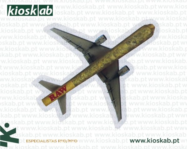 Raw Sticker Cone Plane